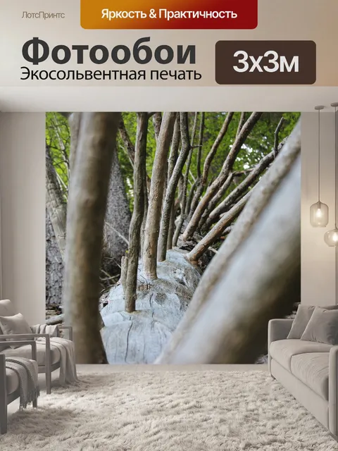 Фотообои Лес