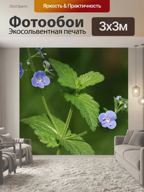 Фотообои Природа