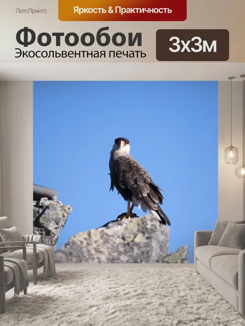 Фотообои Природа