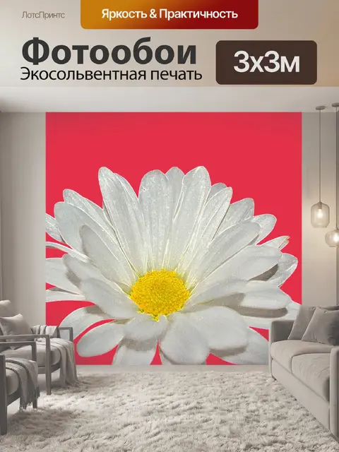 Фотообои Ромашки Цветет Цветочные