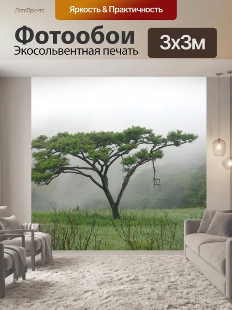 Фотообои Misty дерева