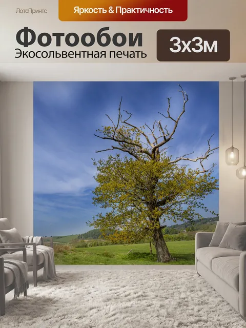 Фотообои дерево