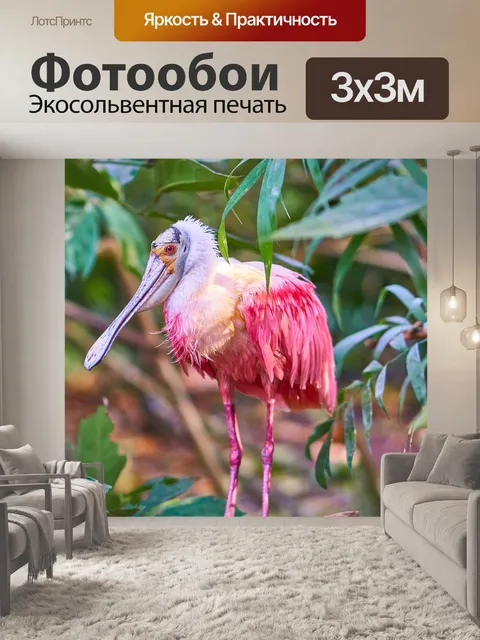 Фотообои Птица