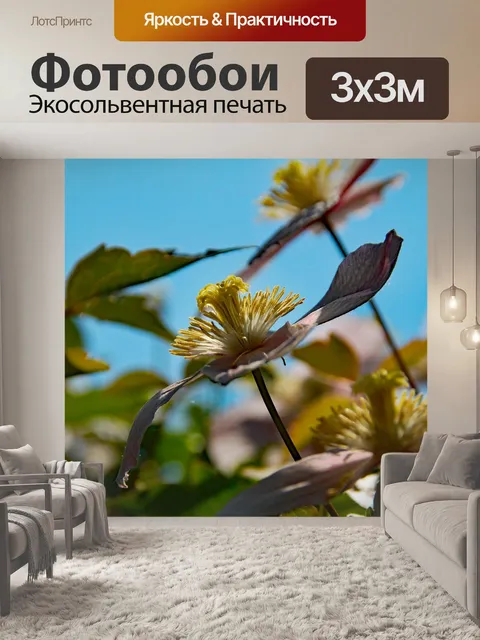 Фотообои Плющ