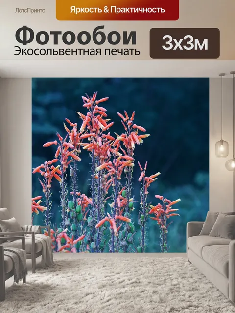 Фотообои цветы алоэ в парке