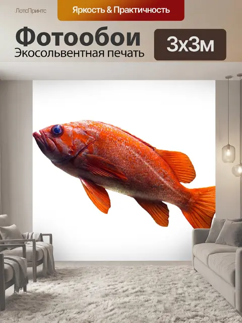 Фотообои Рыбы