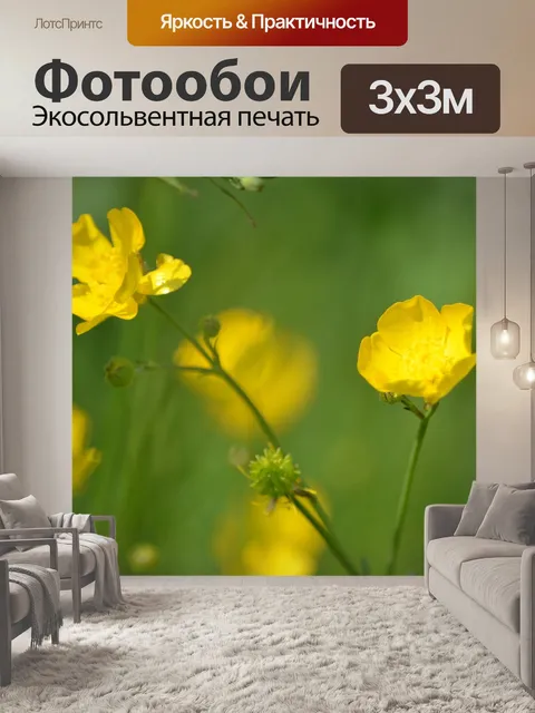 Фотообои Поля
