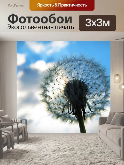 Фотообои Одуванчик