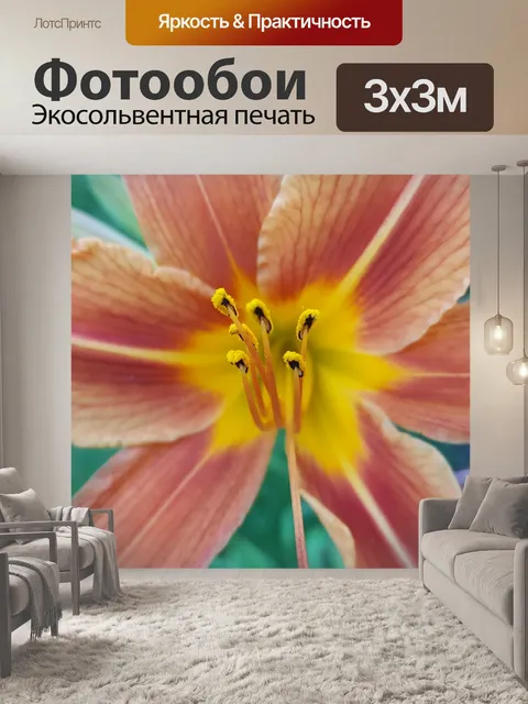 Фотообои Цветы