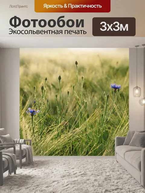 Фотообои Васильки цветет поле утренняя роса