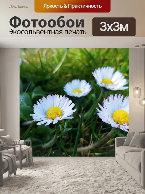 Фотообои Цветы