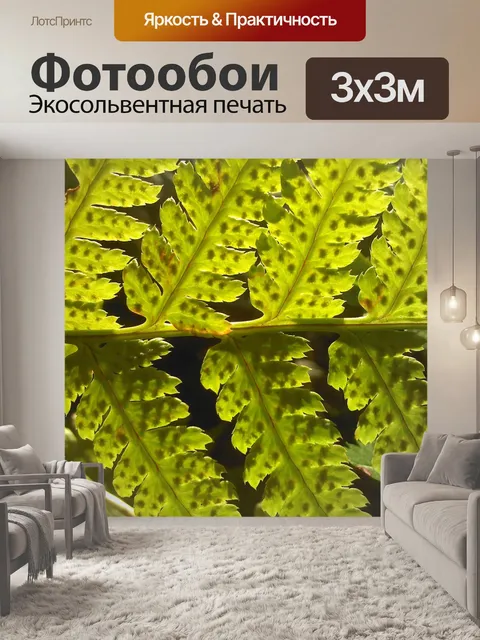 Фотообои Папоротник