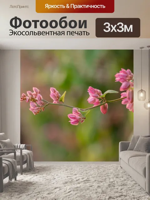 Фотообои Цветок орхидеи