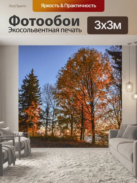 Фотообои Лес