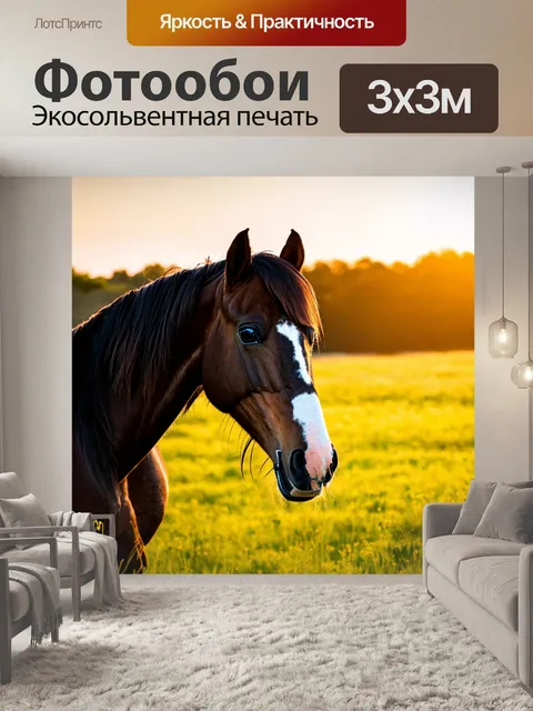 Фотообои лошадь, наслаждающаяся закатом на лугу