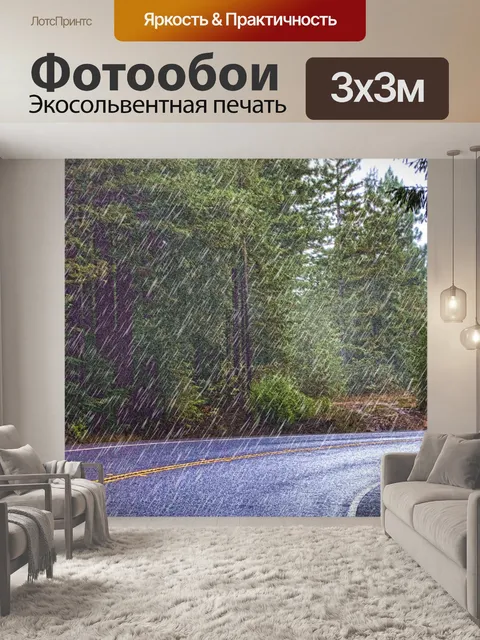 Фотообои Шоссе дождливого леса