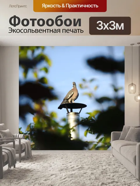 Фотообои Птица