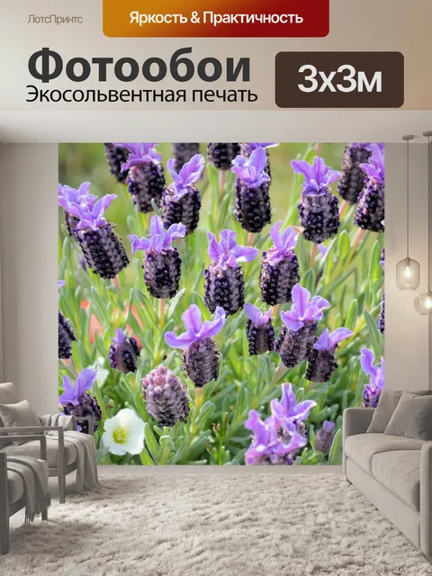 Фотообои Цветок