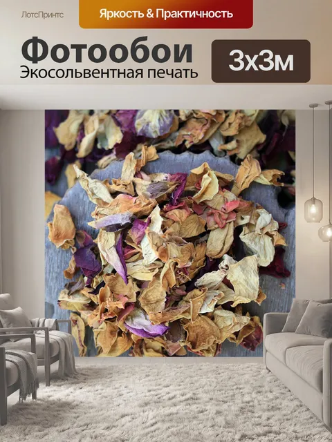 Фотообои сушеные лепестки розы
