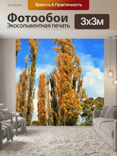 Фотообои старые тополя