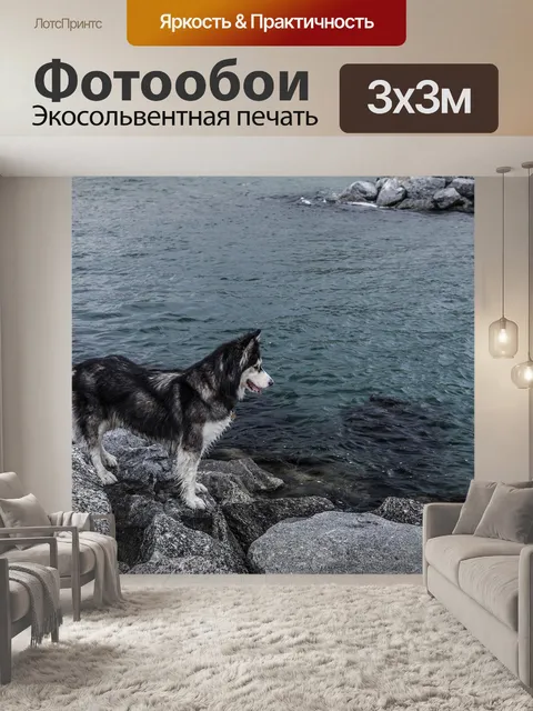 Фотообои Хаски