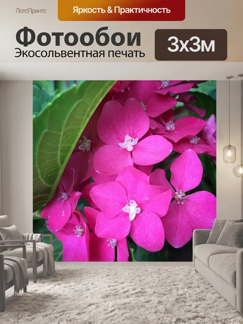 Фотообои Цветок