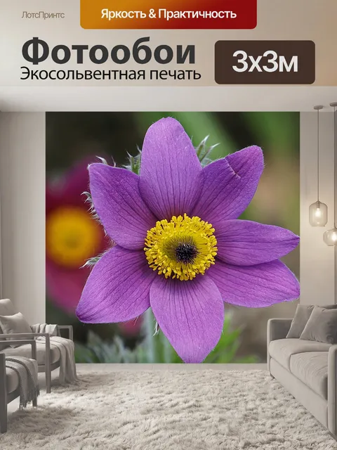 Фотообои Пурпурные цветы