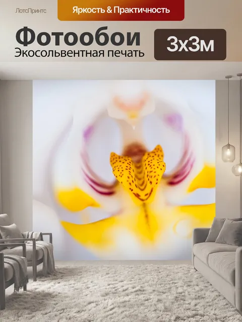 Фотообои Орхидея