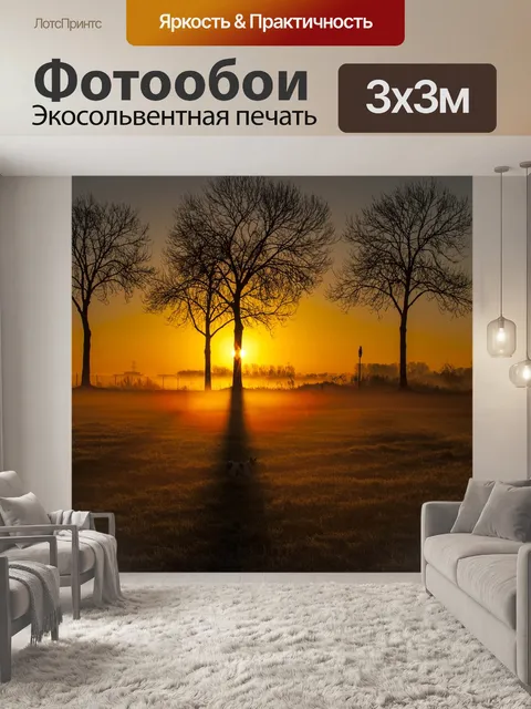 Фотообои Солнце