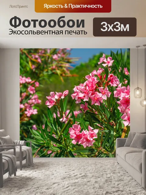 Фотообои Цветы олеандра