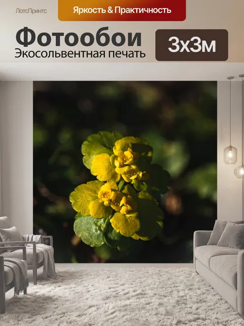 Фотообои Цветы
