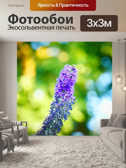 Фотообои Куст бабочки
