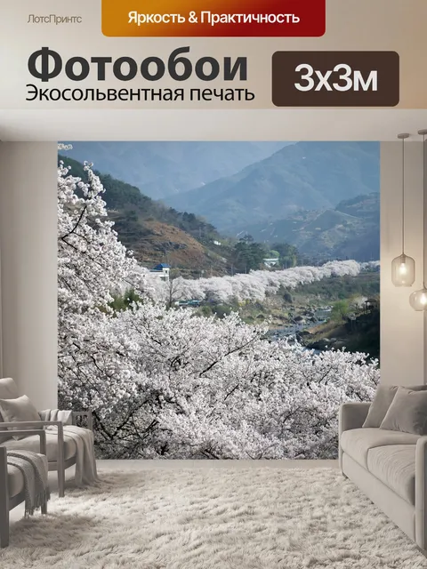 Фотообои Вишни в цвету