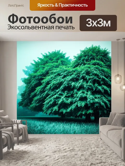 Фотообои мятный цвет, показывающие величественные мятные деревья, спрятанные в тумане