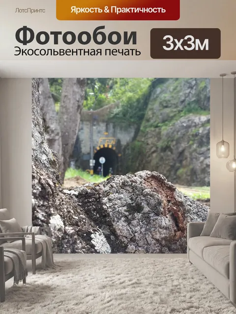 Фотообои Дерево