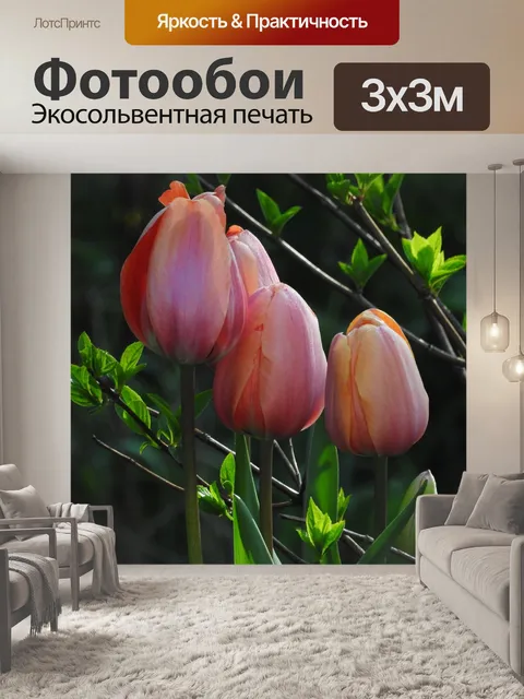 Фотообои Тюльпаны