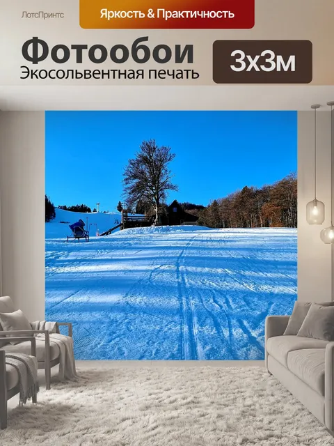 Фотообои Деревья