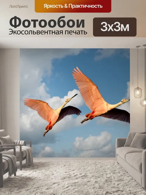 Фотообои Фламинго