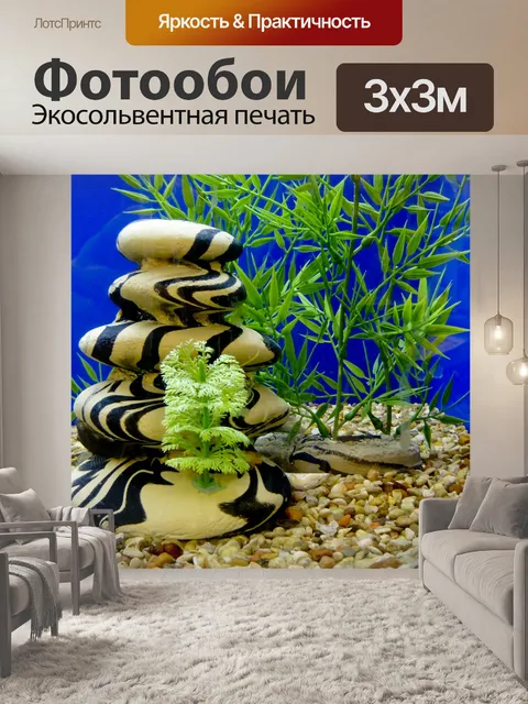 Фотообои Дзен-Рок Аквариум