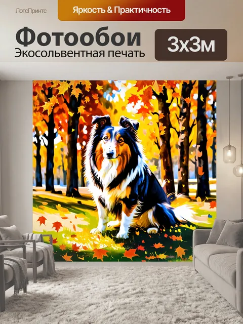 Фотообои колли, сверкающая на фоне осенних деревьев, с листьями, которые падают вокруг неё