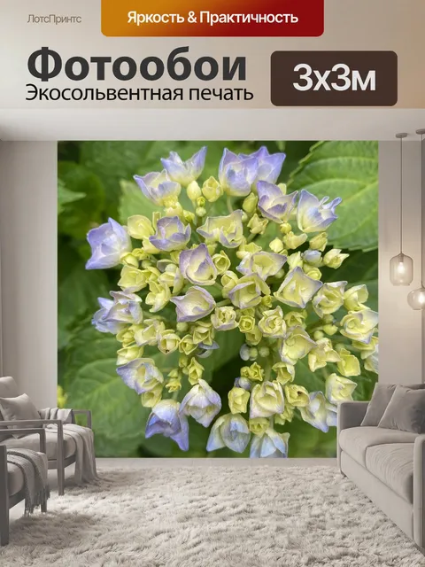 Фотообои Цветы