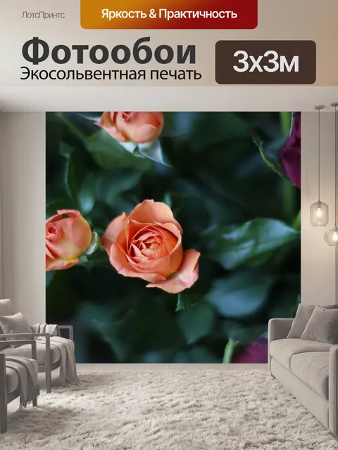 Фотообои Цветы