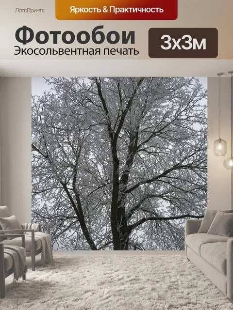 Фотообои Зима