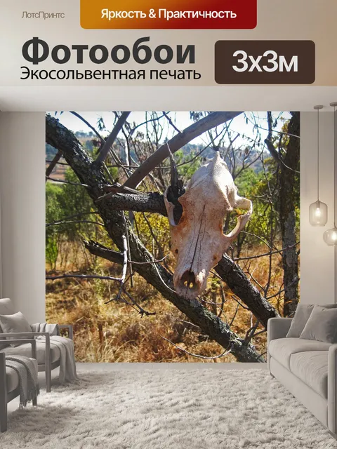 Фотообои череп животного подсел на ветку