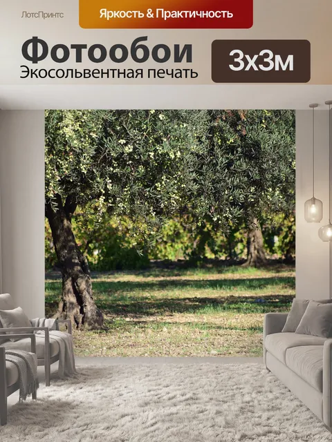 Фотообои Оливки