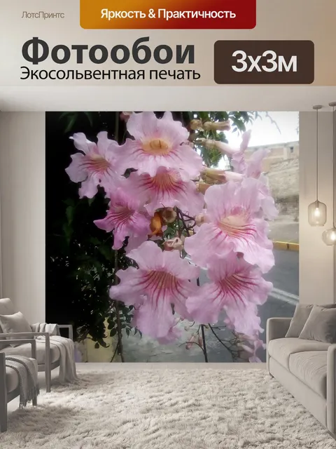 Фотообои Цветы
