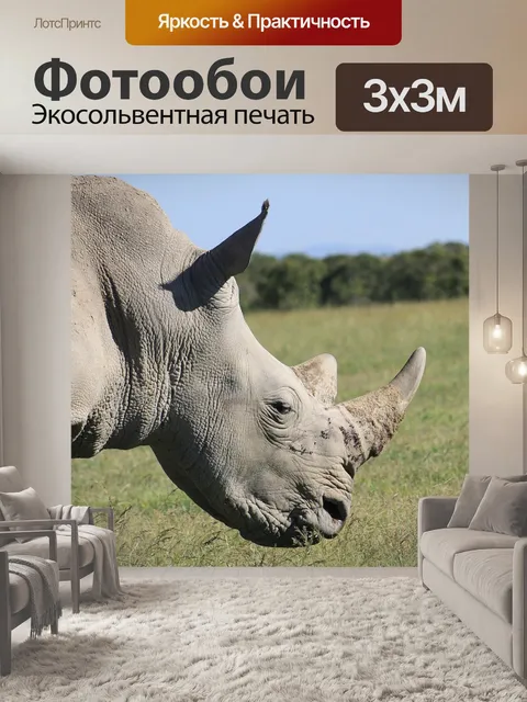 Фотообои Спокойствие
