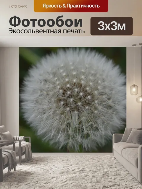 Фотообои Одуванчик