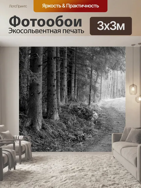 Фотообои Лесная дорога
