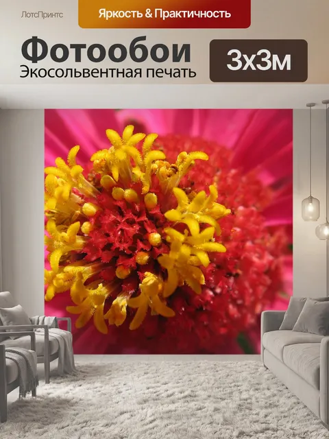 Фотообои Сад